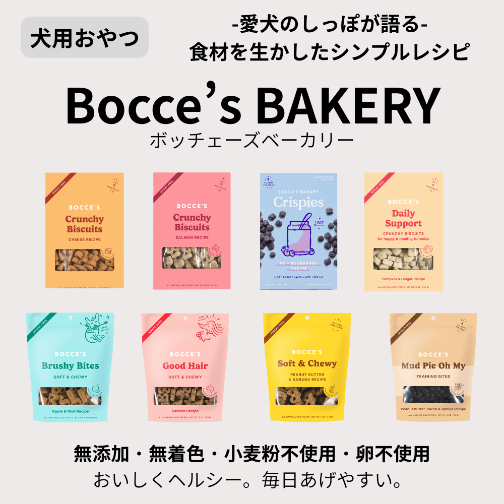 ボッチェ