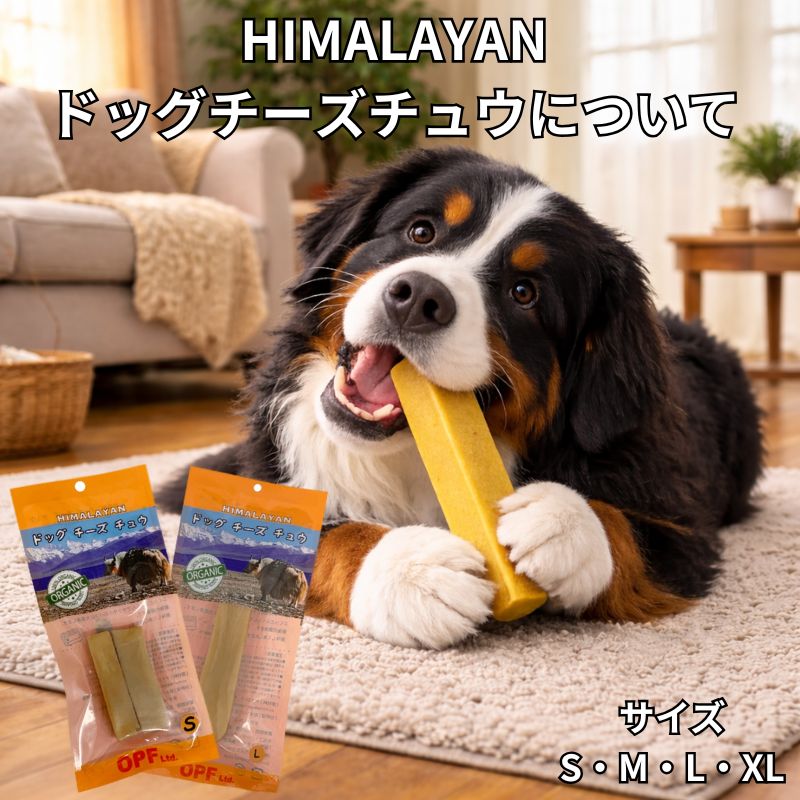 チーズ誕生秘話