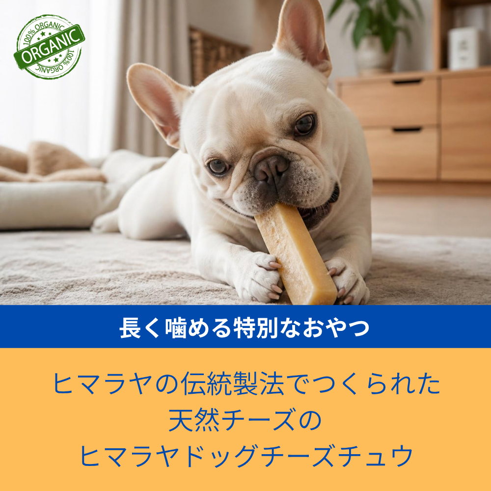 ヒマチー