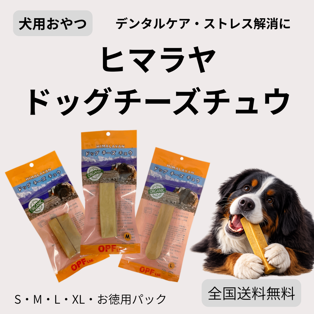 ヒマチー