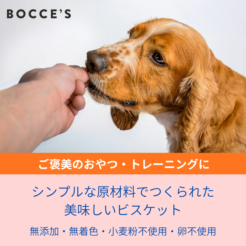ボッチェ
