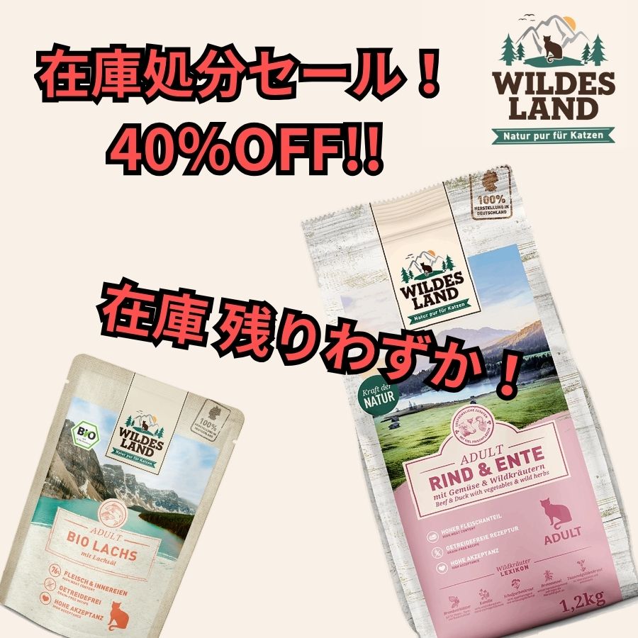 ワイルドランド猫