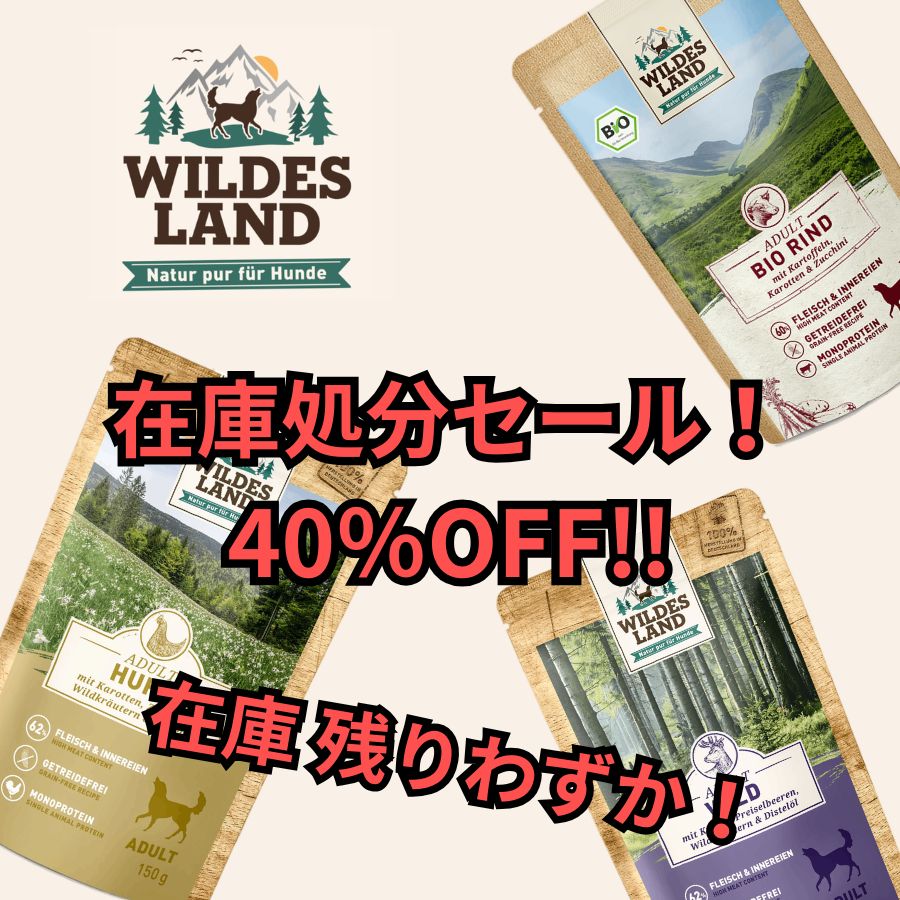 ワイルドランド犬