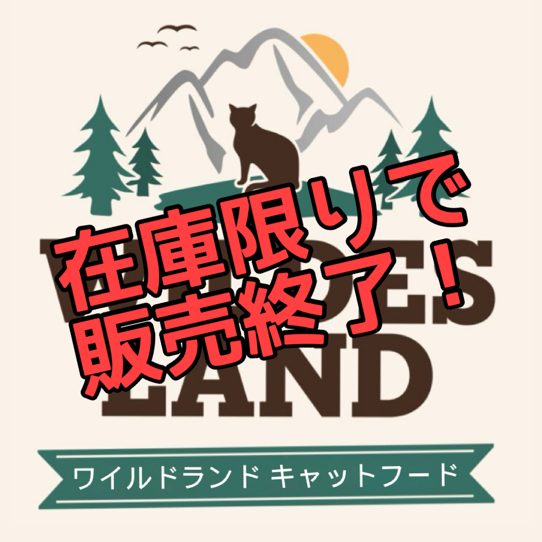 ワイルドランド猫