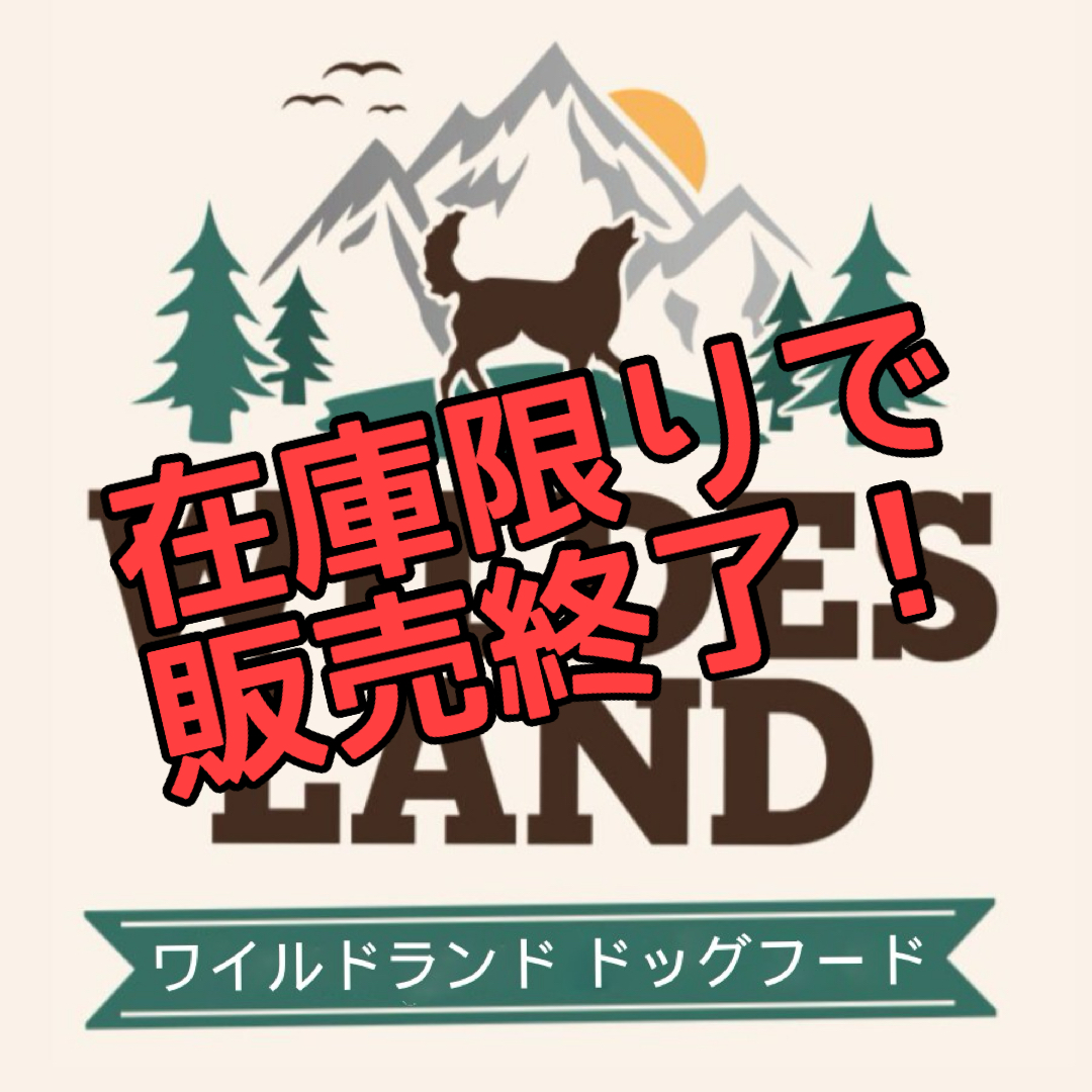 ワイルドランド犬